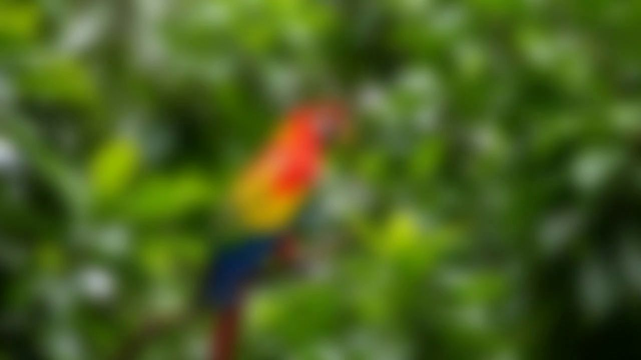 Input reference for figure_14