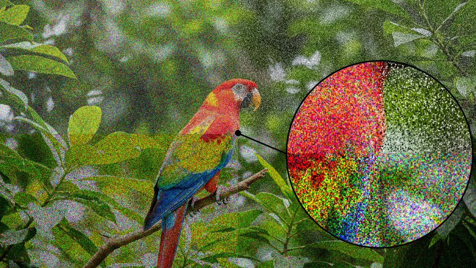 Input reference for figure_15_clockwise-from-top-left-gaussian-noise-salt-and-pepper-noise-speckle-noise-shot-noise