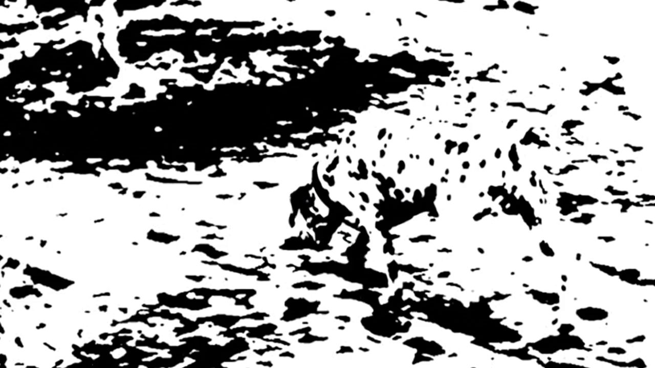 Input reference for figure_18